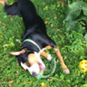 Meet your Posher, Stacey